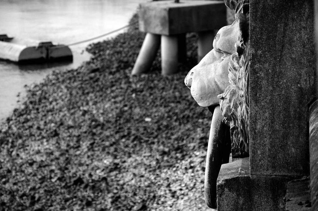 Lion guarding the Embankment