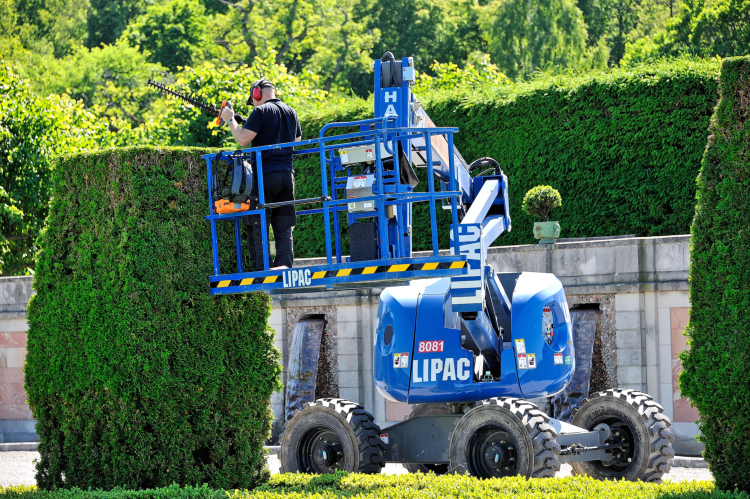 Lipac 8081.jpg