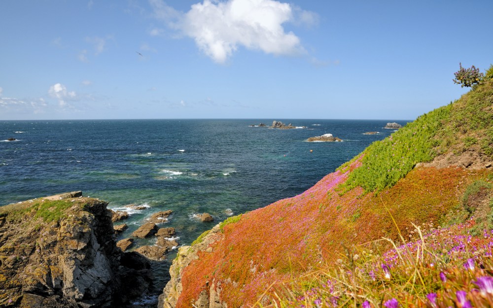 Lizard Point (Cornwall)