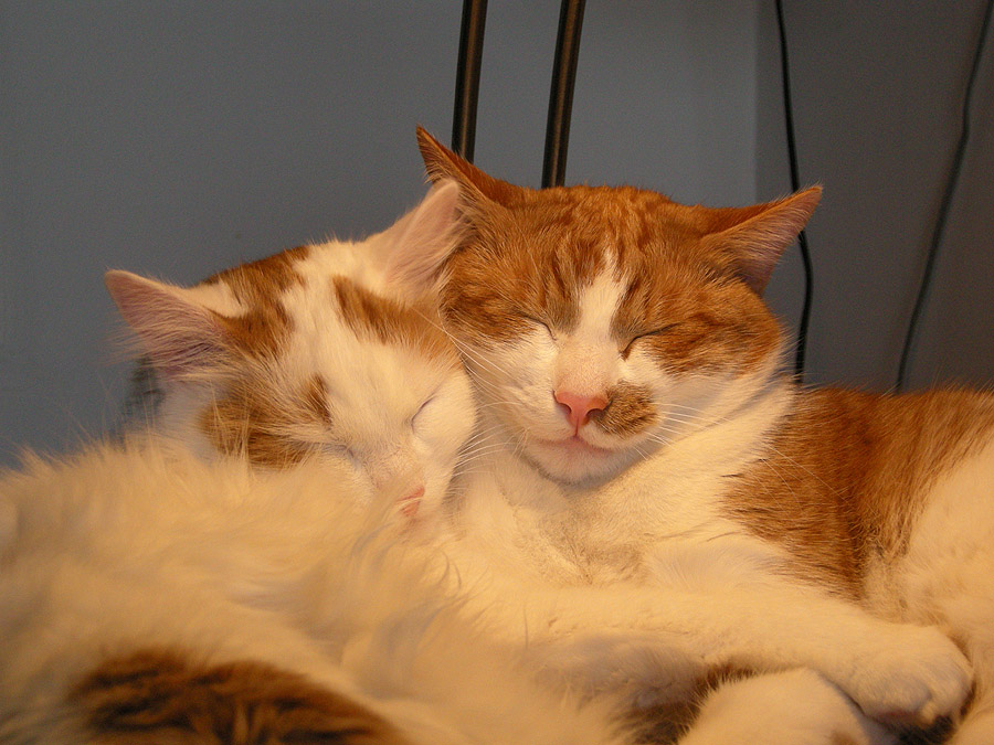 Lizzy und Hruby