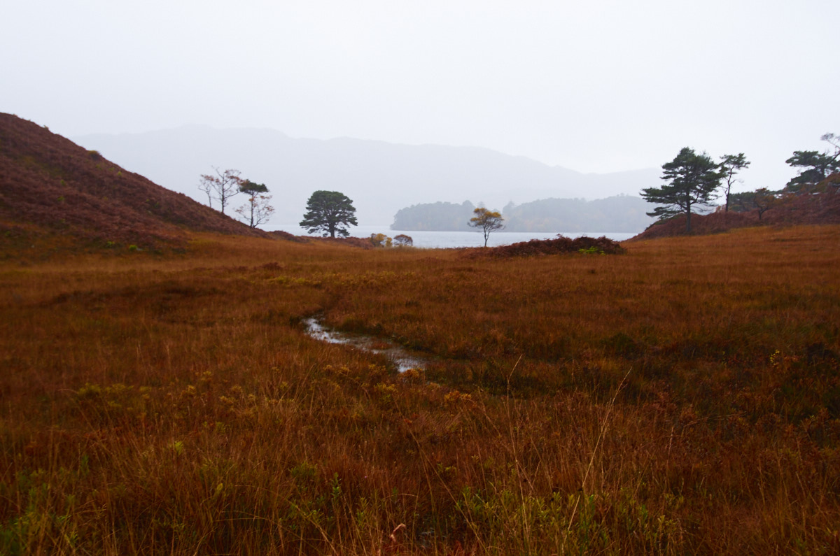 Loch Morar in Autumn I