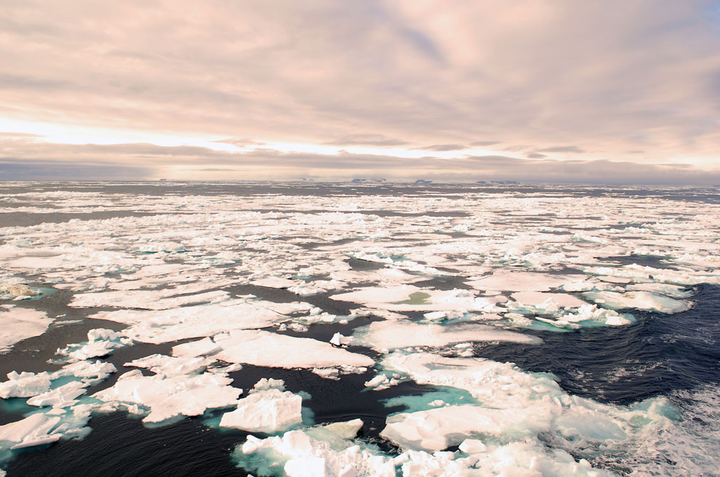 lockere Eisschollen im zentralen Franz Josef Land