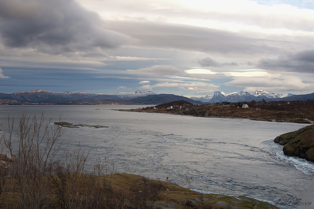 Lofoten16