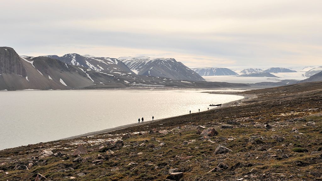 Lomfjord 8084