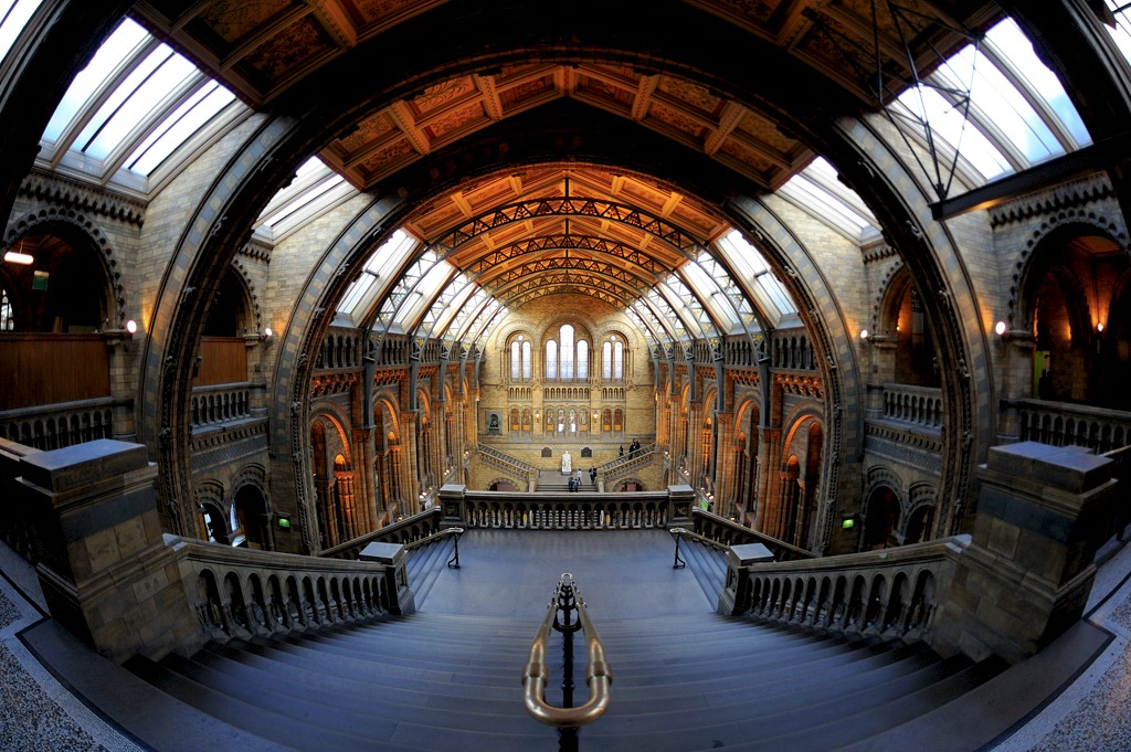 London
Naturhistorisches Museum