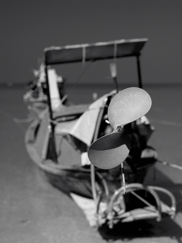 Longtailboat