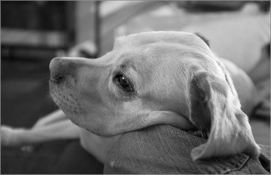 looking TV