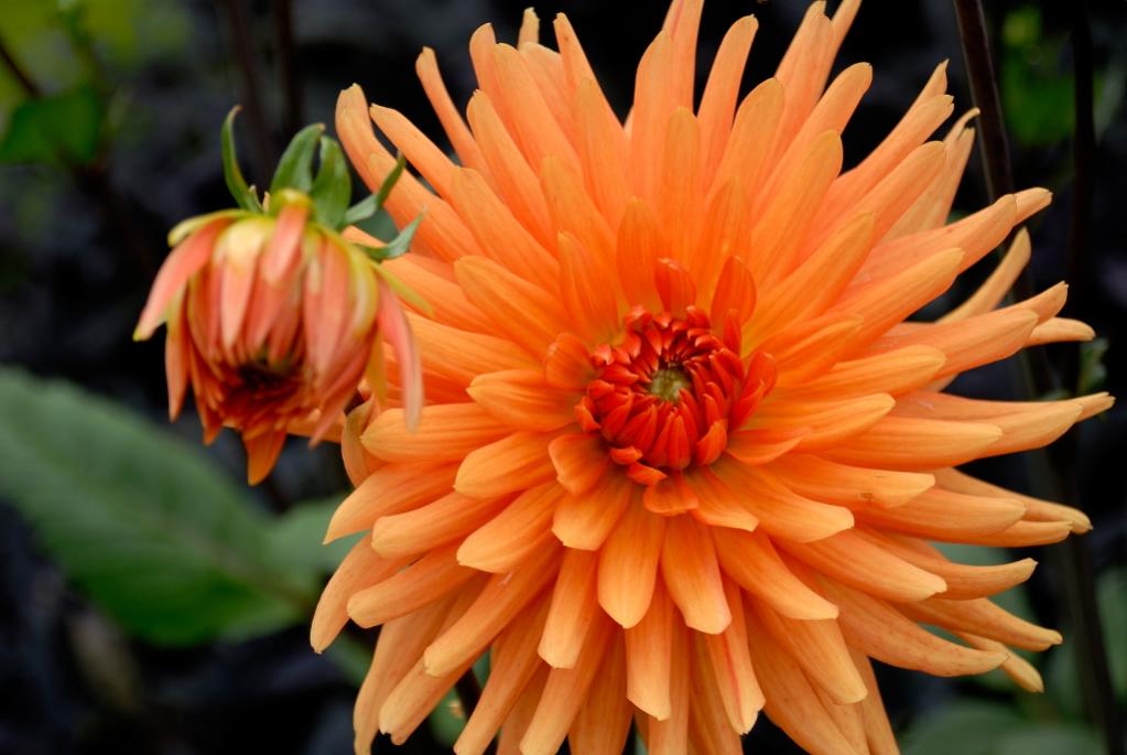 LOT0464