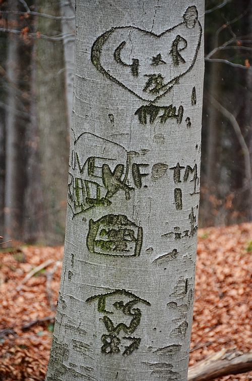 love letters