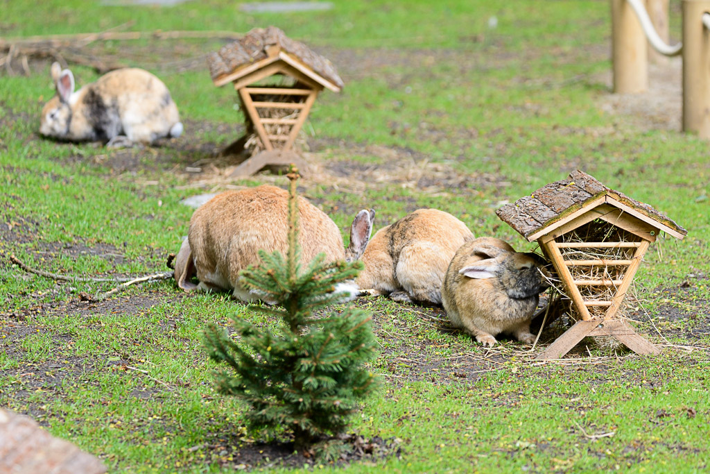 LR5.7, ISO 640, 1/800 Sek. bei f/5,3, 240 mm.
