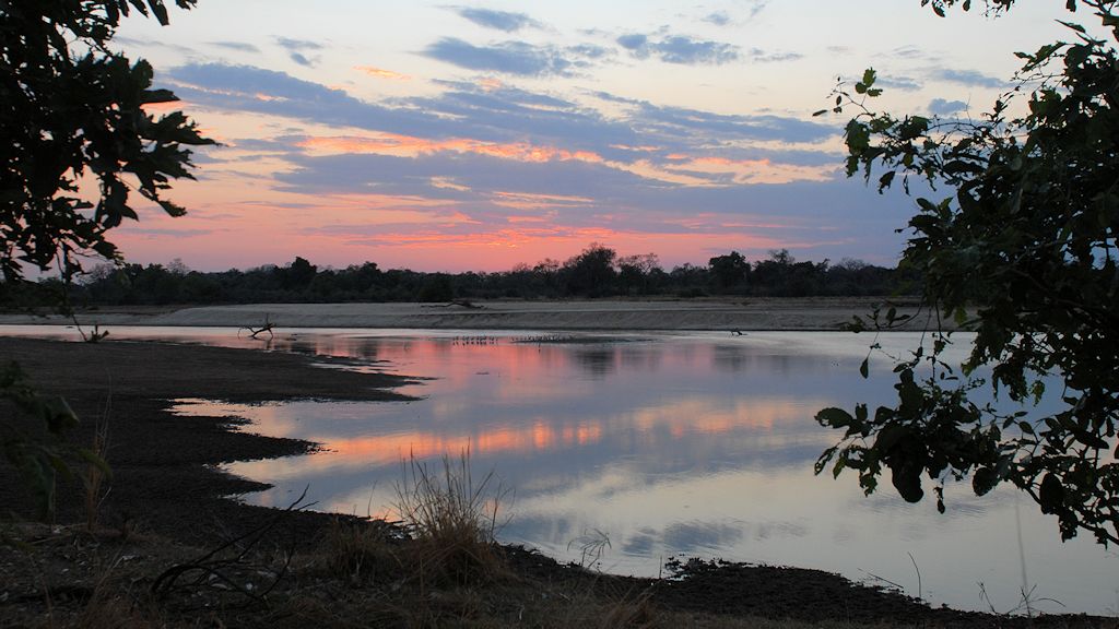Luangwa nach Sonnenuntergang
4331