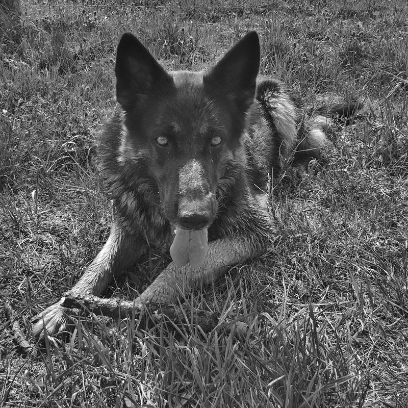 Lucy 03.jpg