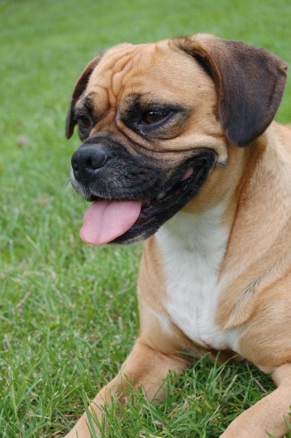 Lucy Profil 1 7 09