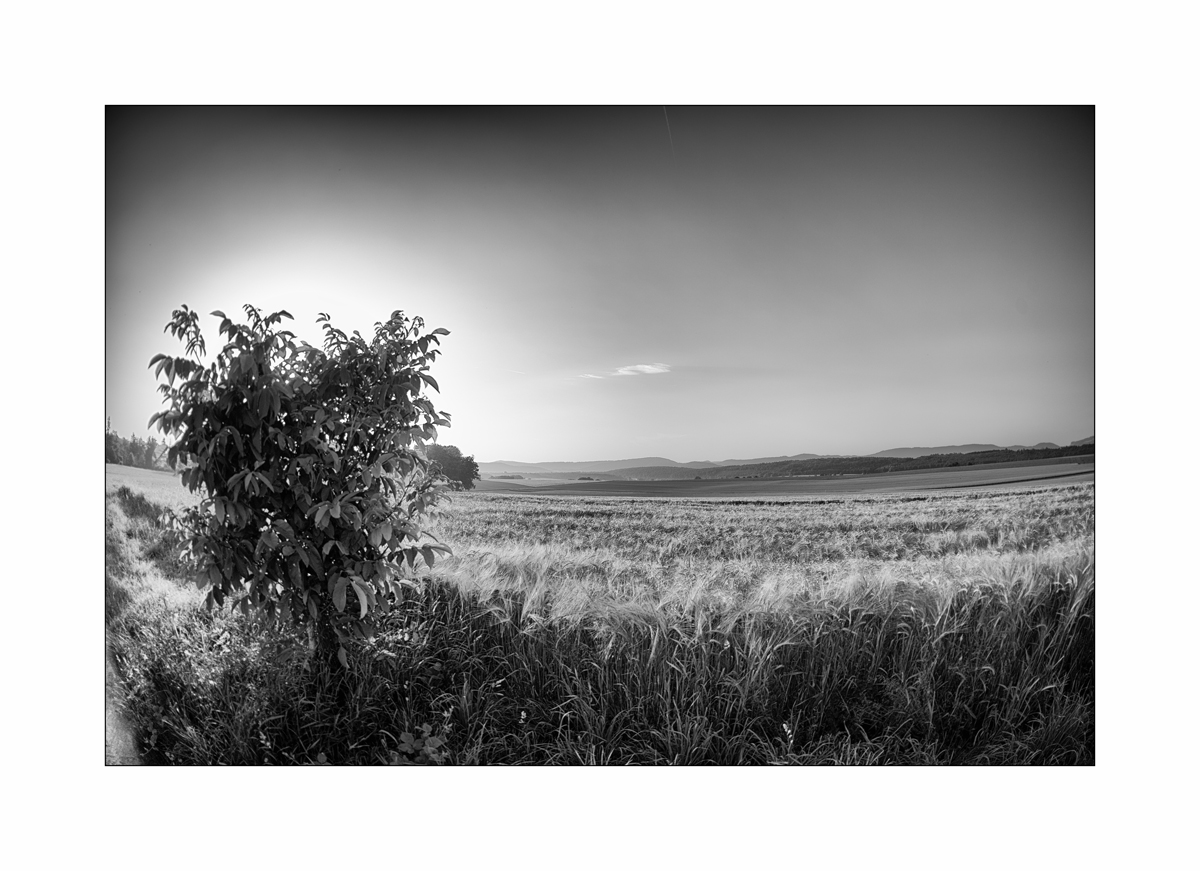 LugnezDSC_2166.jpg
