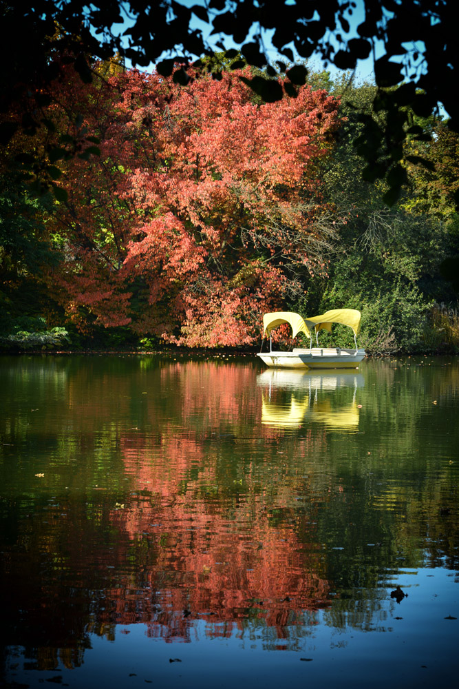 luisenpark herbst 2016