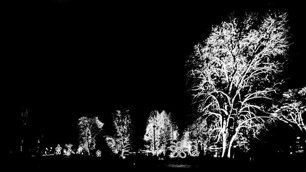 Luisenpark Mannheim 2016