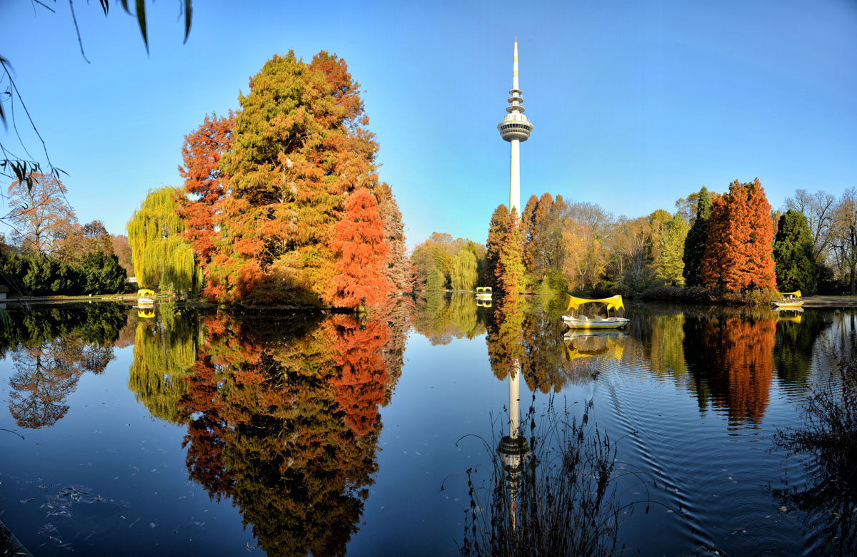luisenpark mannheim
