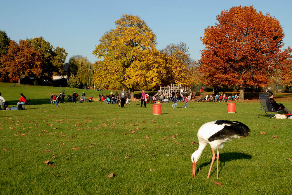 luisenpark okt 2010 01a