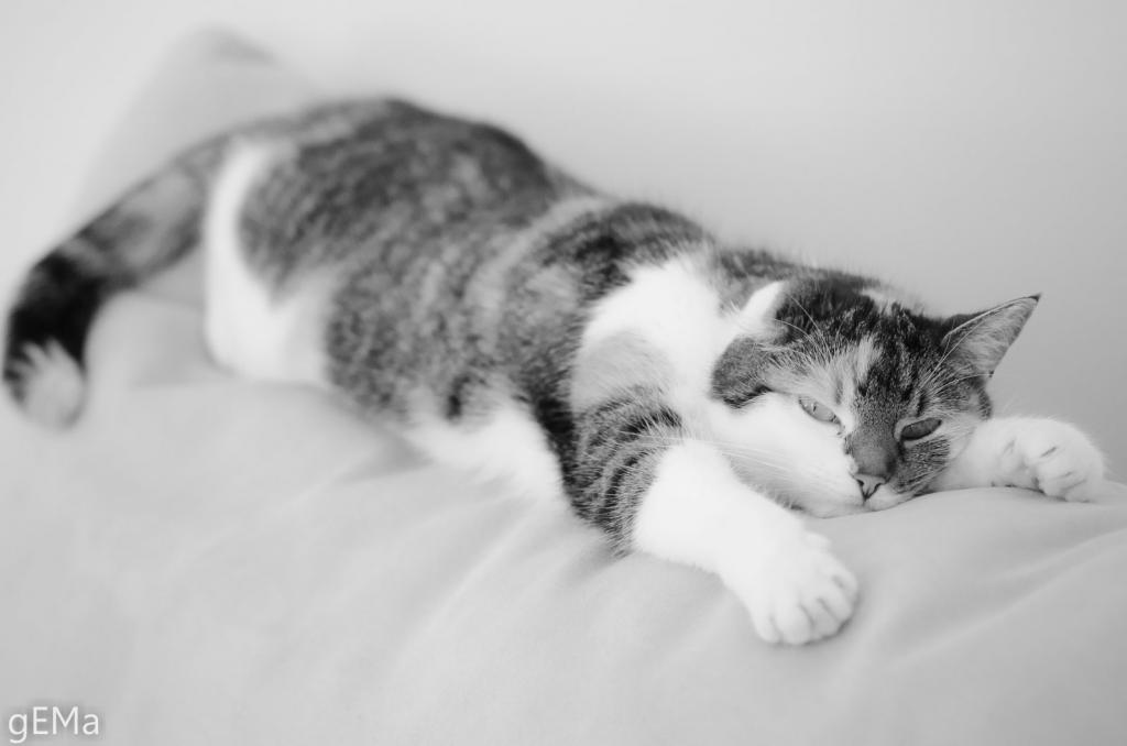 Luni-B&amp;W