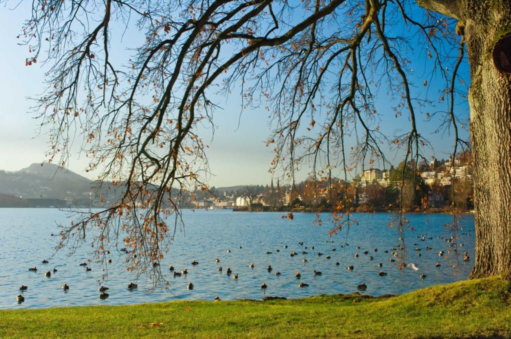 Luzern im Hintergrund mit Hofkirche