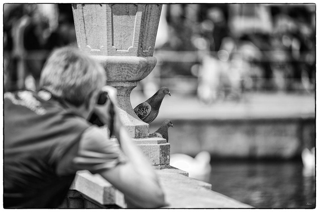 LuzernPZ1 0201