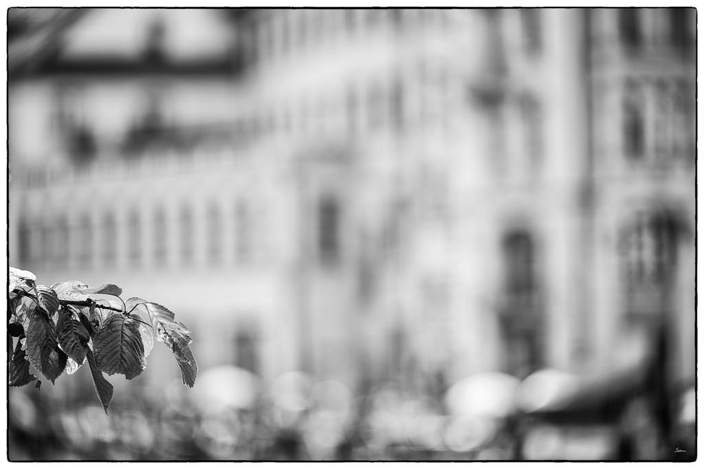 LuzernPZ1 0213