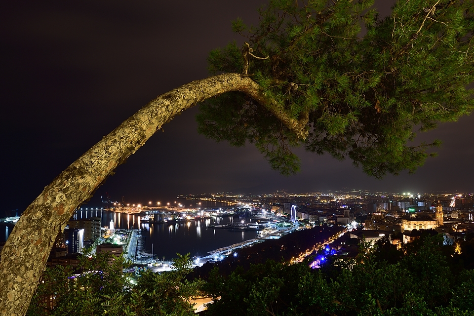 Málaga (vom Gibralfaro aus)