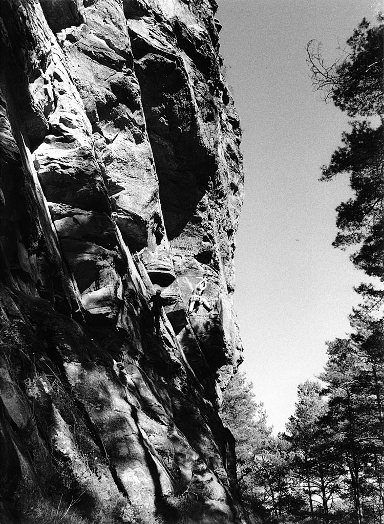 März2014 Geierstein