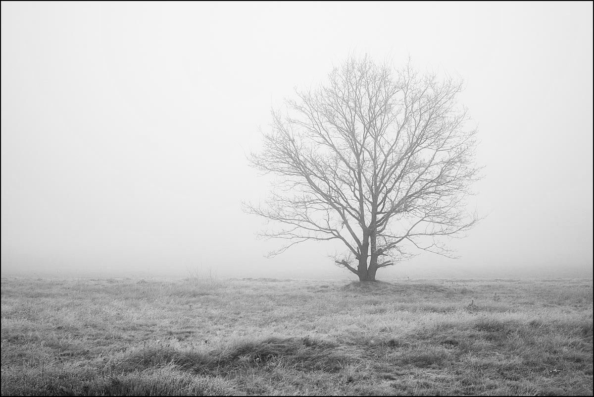Märznebel BW (1 von 1).jpg