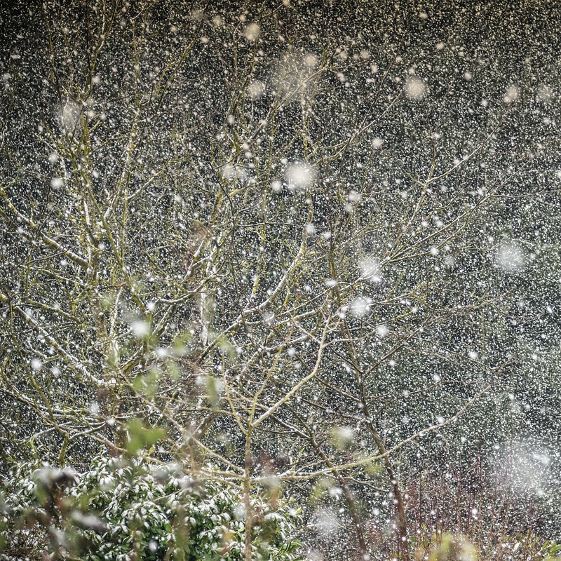 Märzwinter comp
