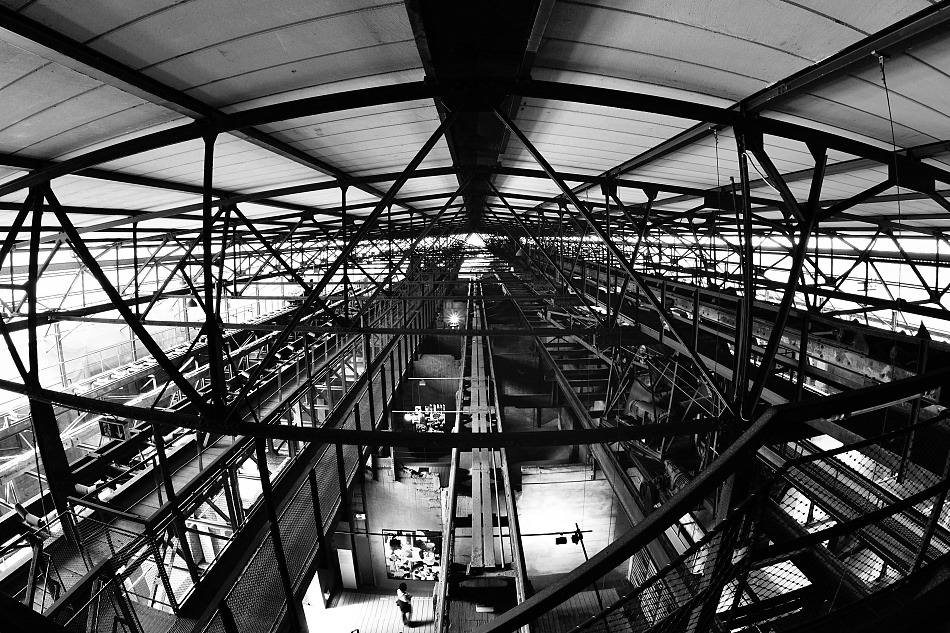 Möllerhalle Dach