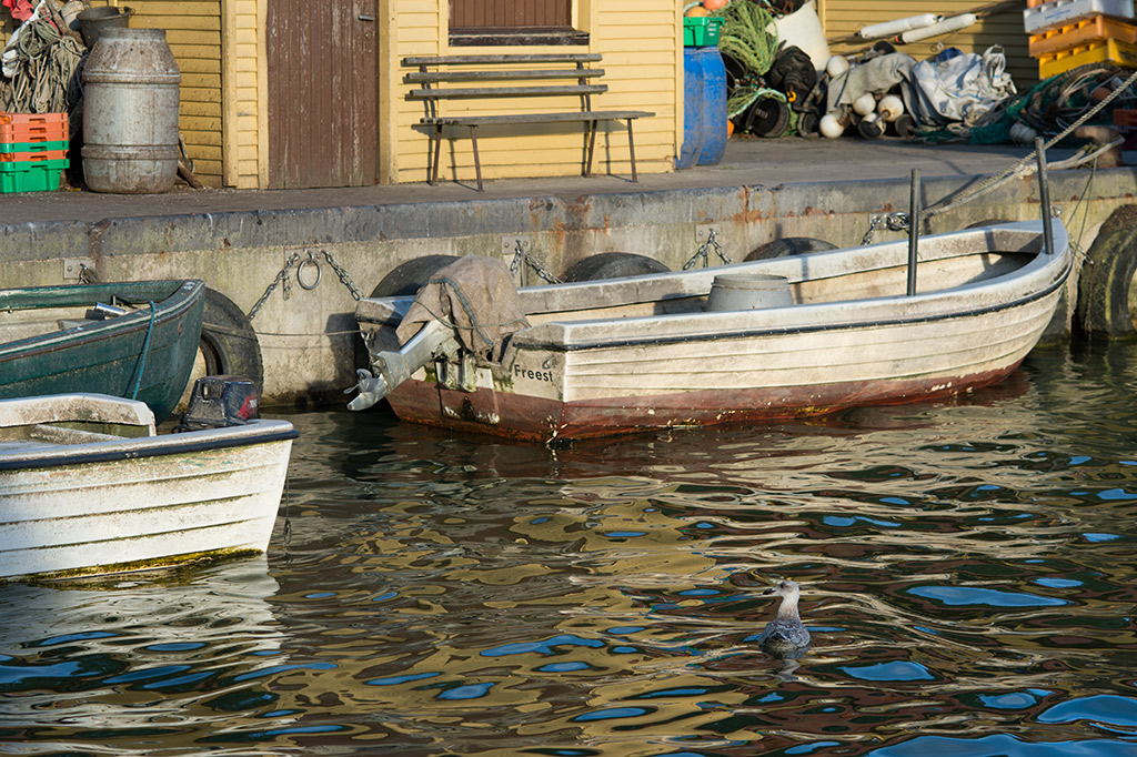 möwe u boot