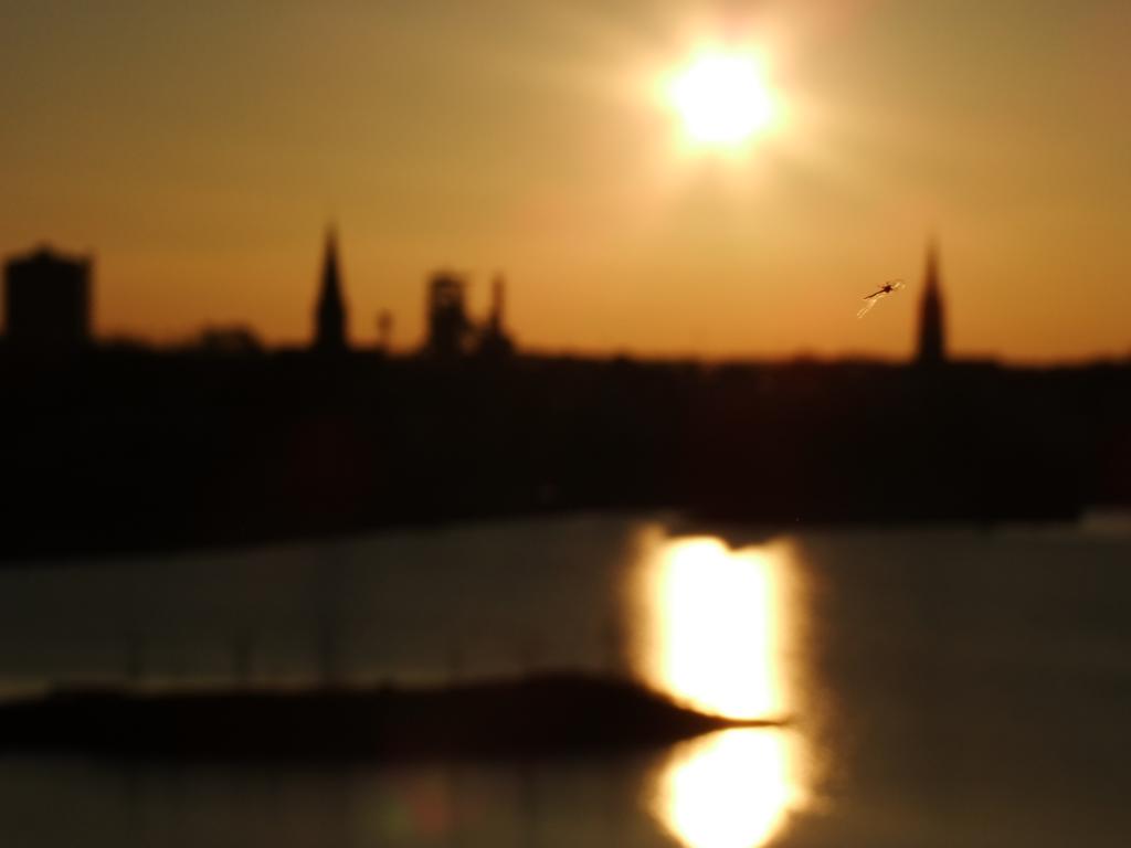 Mücke