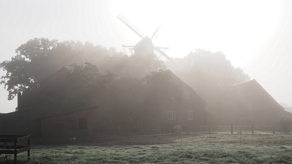 Mühle im Morgennebel.jpg