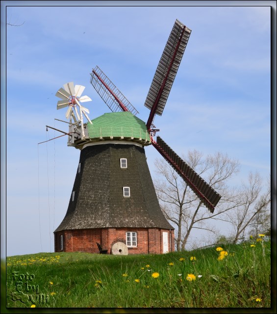 Mühle in Meckl/Vorpommern DSC 3002