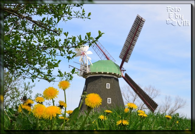 Mühle in Meckl-/Vorpommern - DSC 3007