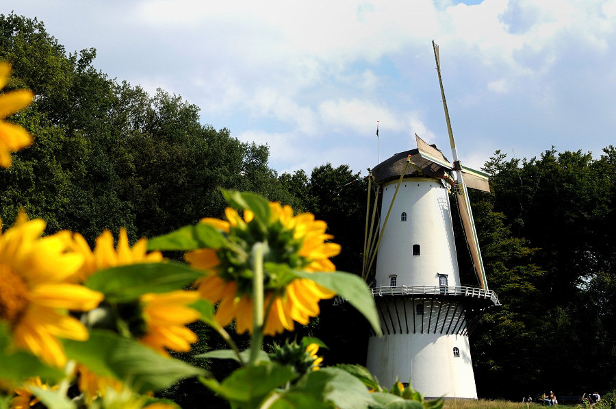Mühle3