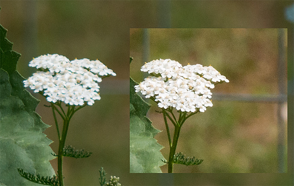 M Weinzierl 1001