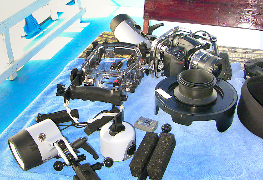M Weinzierl 266