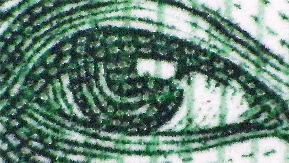 M Weinzierl 563
