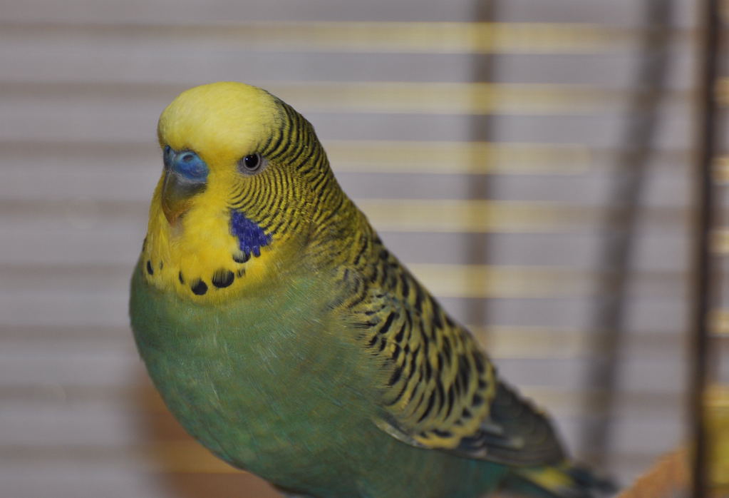 M001