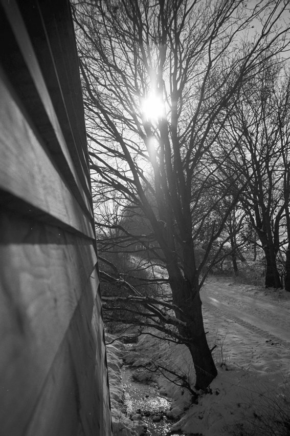 M7 35mm07K100Tmax