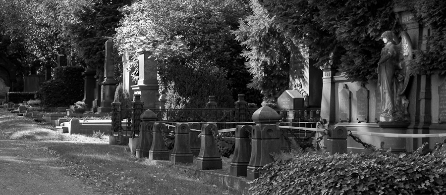 MA Westfriedhof  230