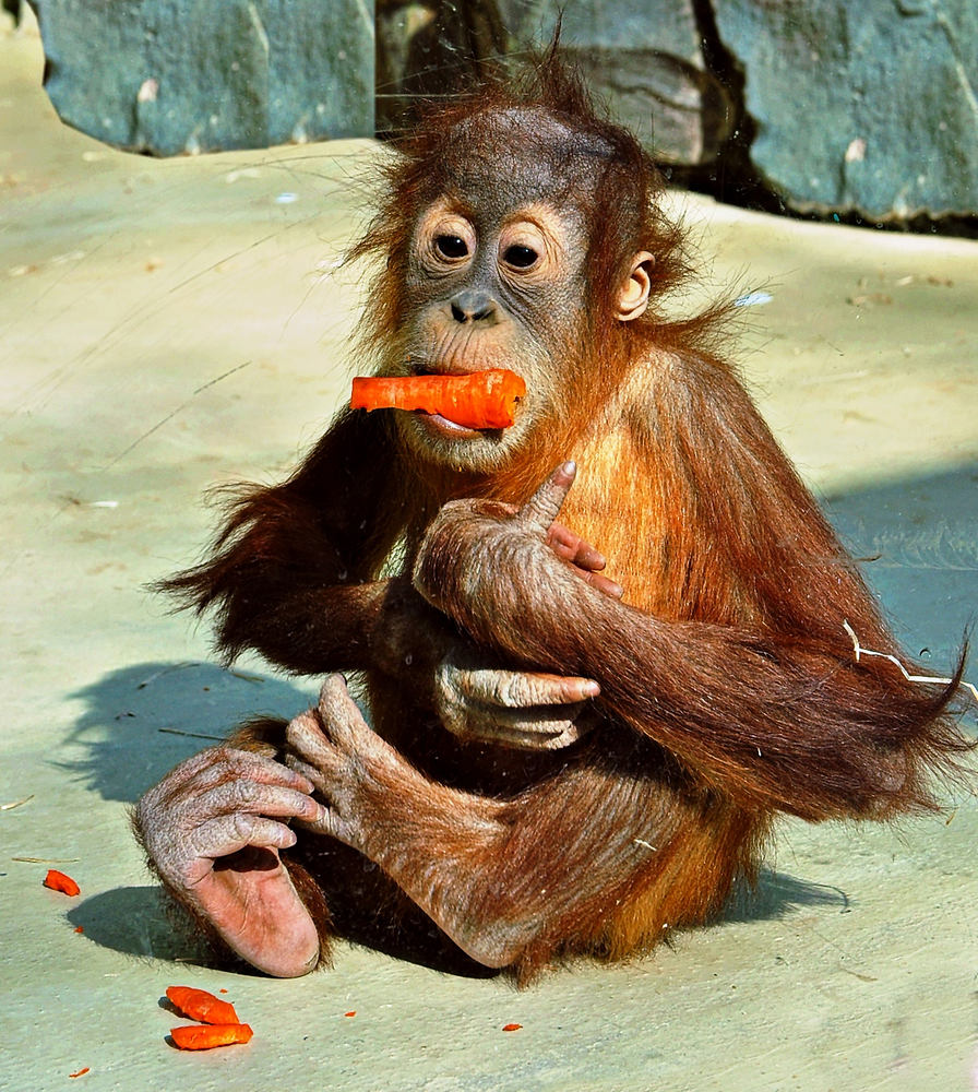 Maaaaaaaaaaahlzeit