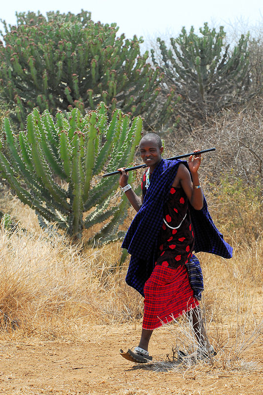 Maasai
9677