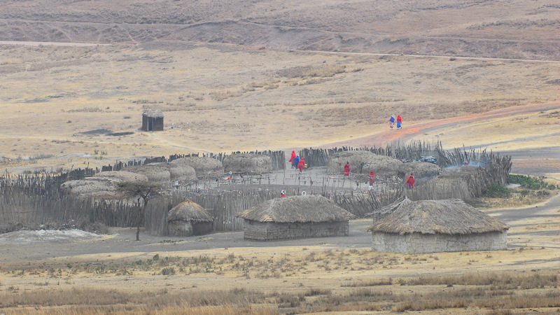 Maasai Boma für Touristen,
Nähe Einfahrt zum Ngoronogoro Krater
0877
