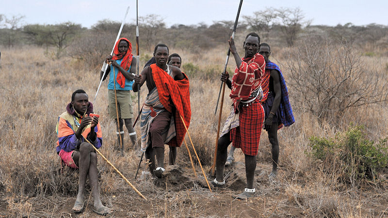 Maasai Krieger
7379
