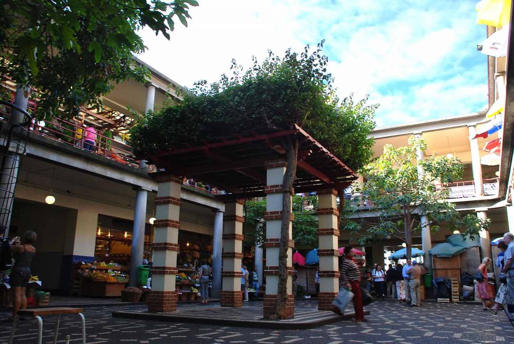 Madeira 03.12 (21)