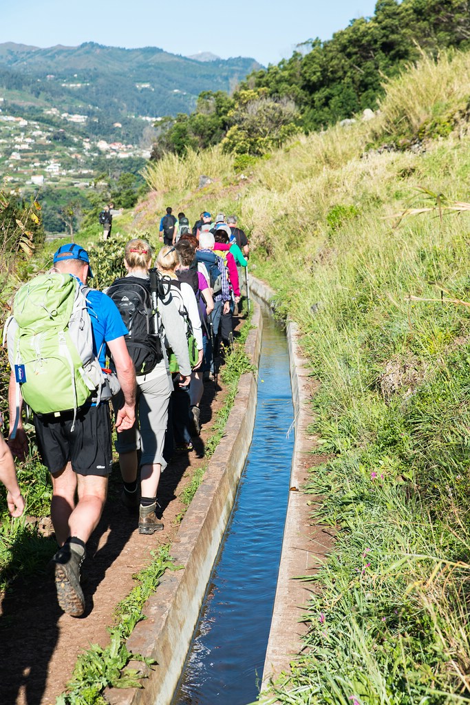 Madeira (16)