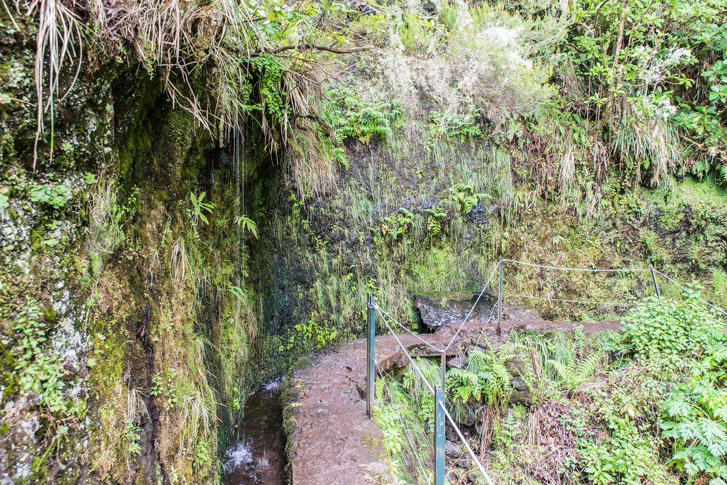 Madeira (27)
